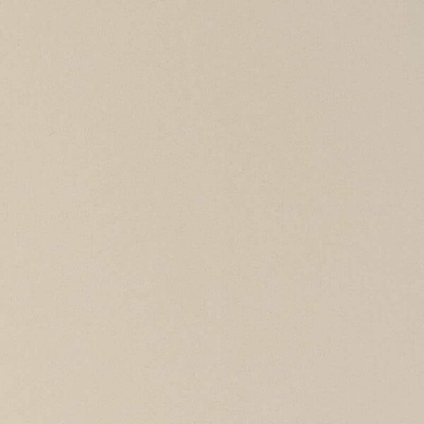 Ash Gray