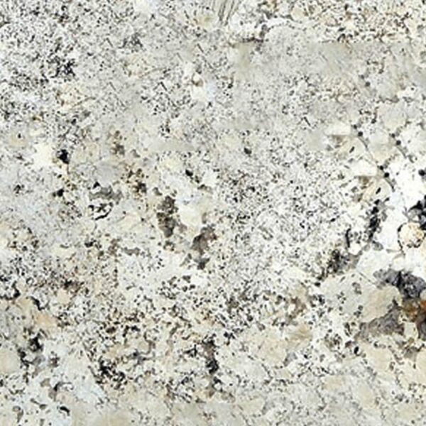 Delicatus White