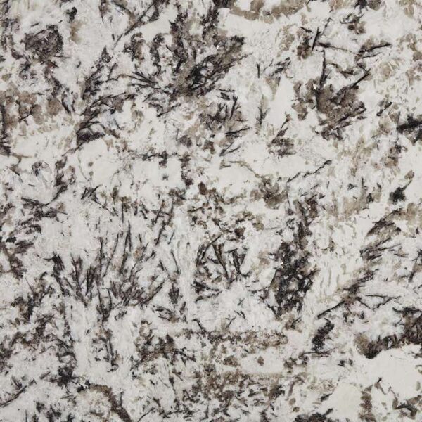 Delicatus White