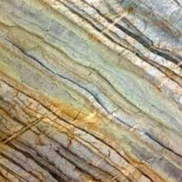 Corteccia