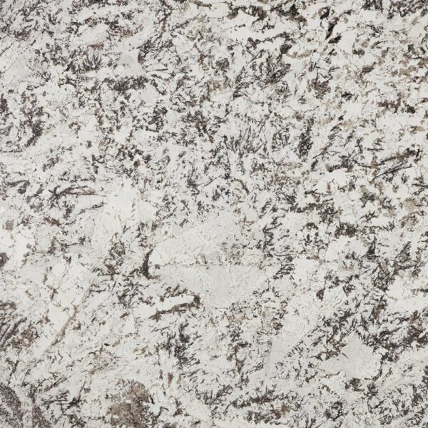 Delicatus White