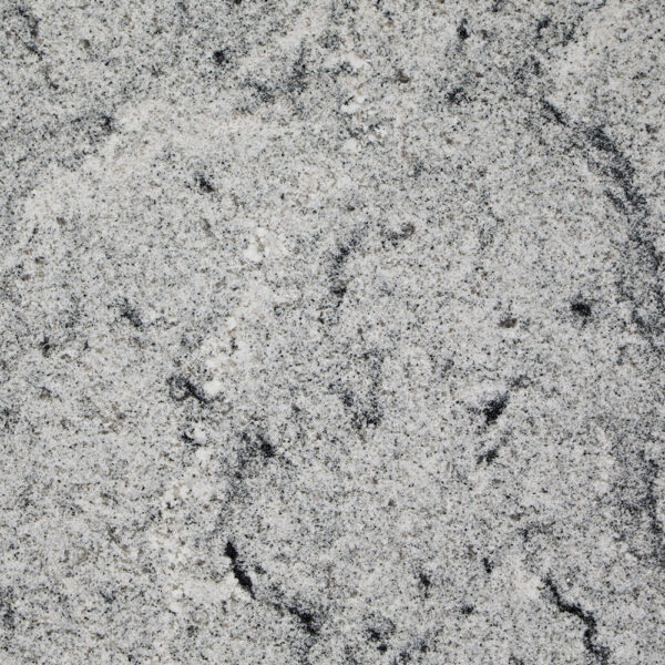 Siberean White